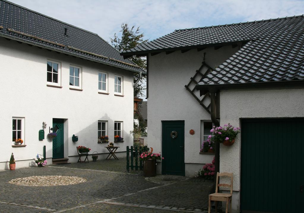Ferienhaus Ginsterbluete Шляйден Номер фото